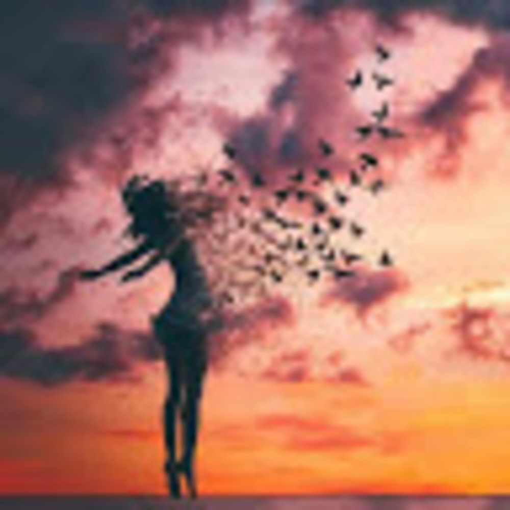 Meet your Posher, Dara